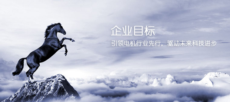 陕西玖思和创电机科技有限公司